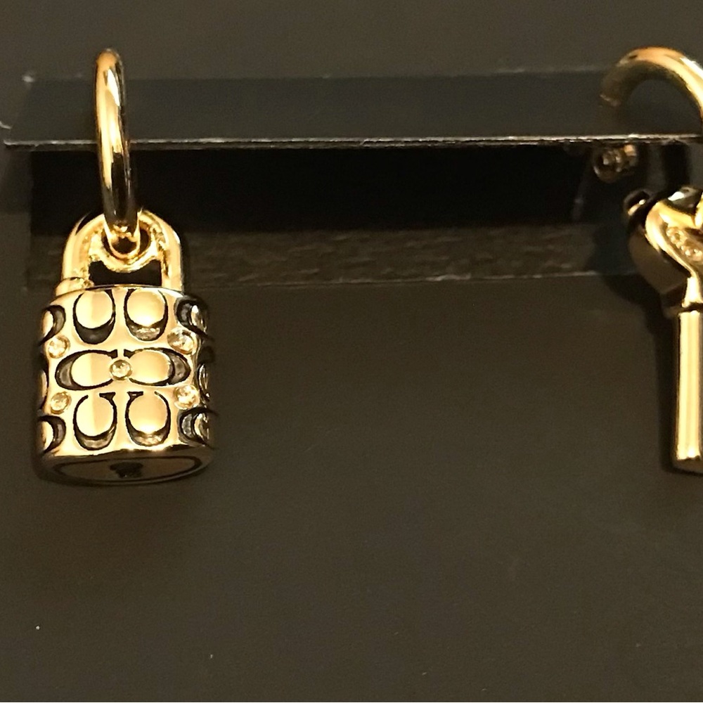 Quilted Padlock Key Mismatch Earrings - Picture 4 of 4